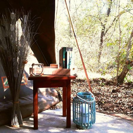 Beyond The Boma Boutique Guesthouse Marloth Park Luaran gambar