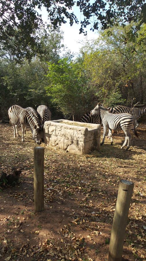 Beyond The Boma Boutique Guesthouse Marloth Park Luaran gambar