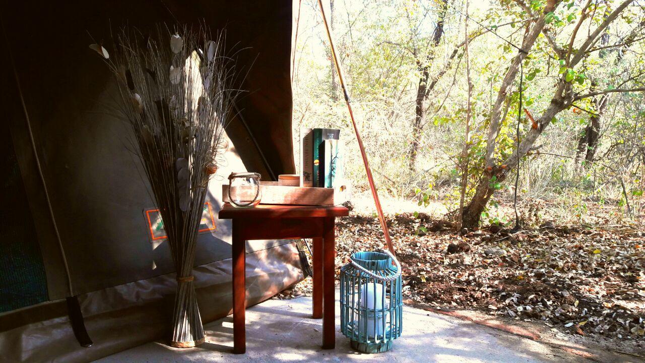 Beyond The Boma Boutique Guesthouse Marloth Park Luaran gambar