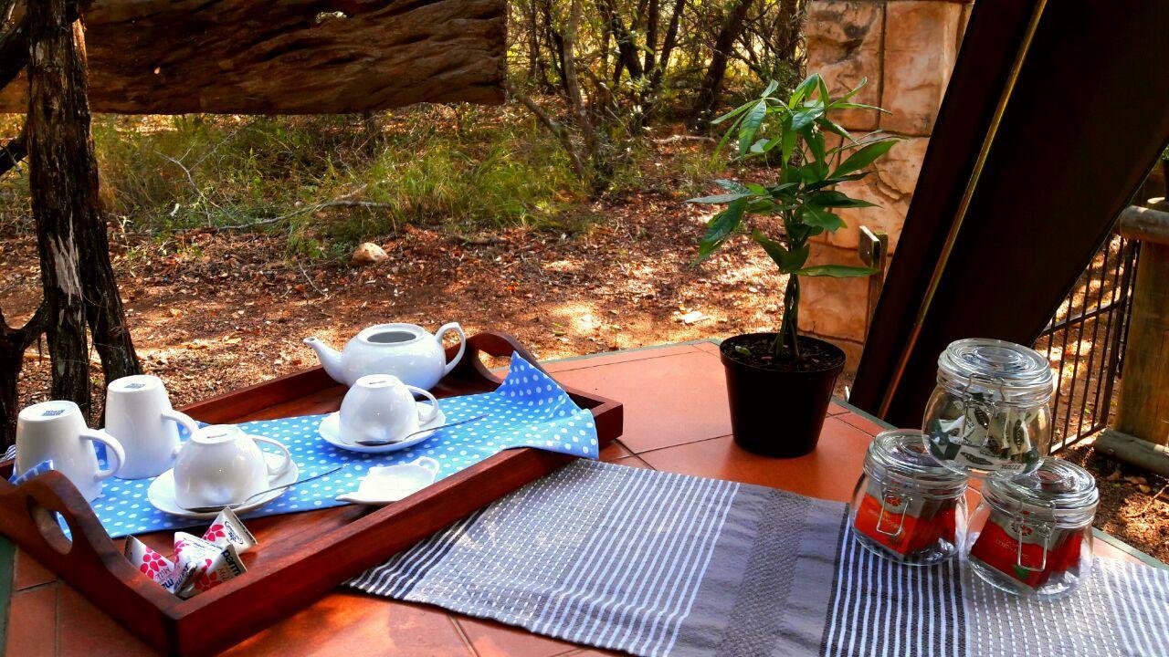 Beyond The Boma Boutique Guesthouse Marloth Park Luaran gambar