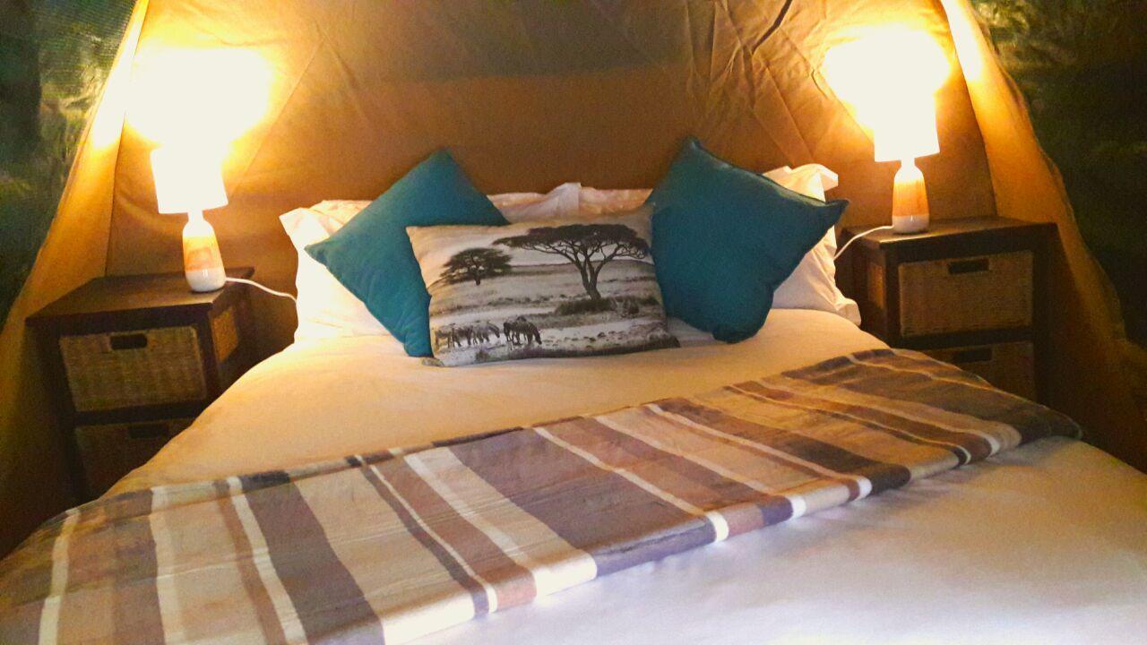 Beyond The Boma Boutique Guesthouse Marloth Park Luaran gambar